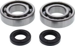 All Balls Krukaslager Set 24-1121