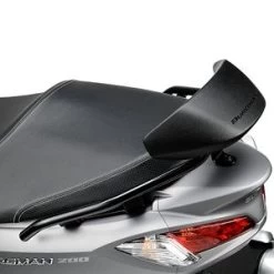 Suzuki Rugsteun Burgman 125/200