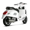 Akrapovic Slip-On Vespa GTS 125 / 250 / 300
